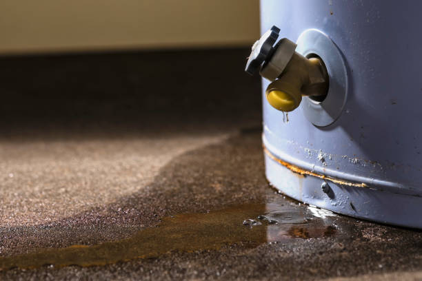 Best Water damage cleanup near me  in Lepanto, AR