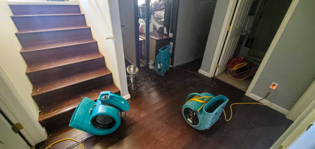 Best Water damage restoration near me  in Lepanto, AR