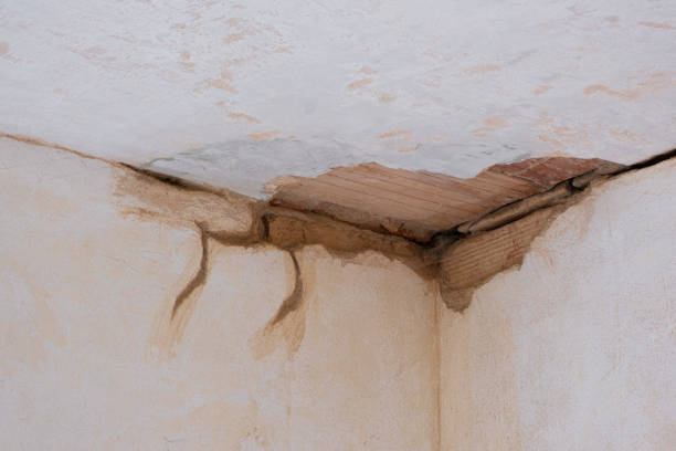 Best Water damage contractors near me  in Lepanto, AR