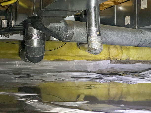 Best Flood restoration services  in Lepanto, AR