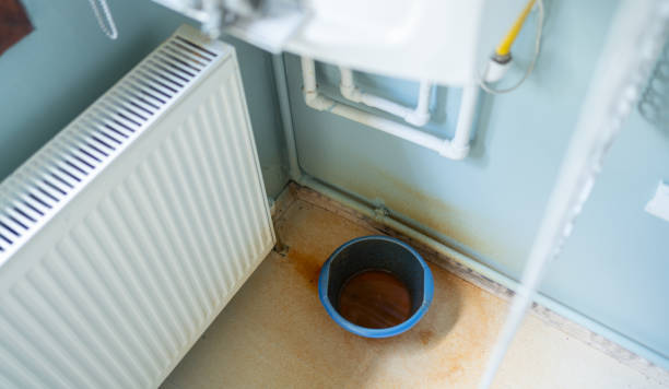 Best Sewage cleanup and water damage restoration  in Lepanto, AR