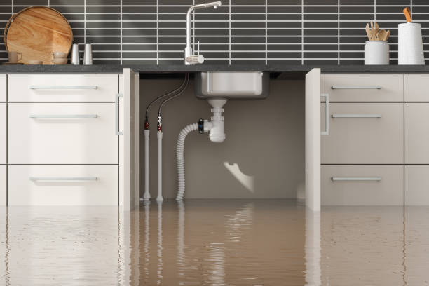 Best Water damage cleanup near me  in Lepanto, AR